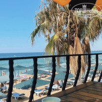 фото из отзыва ID 2689012