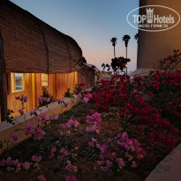 фото из отзыва ID 2689036