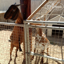 фото из отзыва ID 2689036