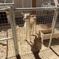 фото из отзыва ID 2689036