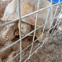 фото из отзыва ID 2689036