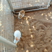 фото из отзыва ID 2689036