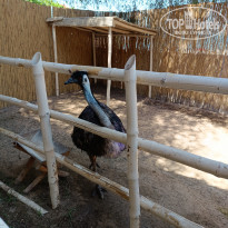 фото из отзыва ID 2689036