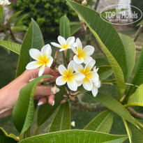 фото из отзыва ID 2689077