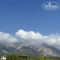 фото из отзыва ID 2688856