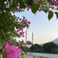 фото из отзыва ID 2688856