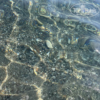 фото из отзыва ID 2688856