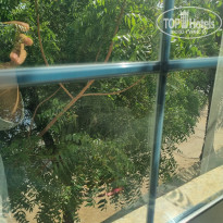 фото из отзыва ID 2689122