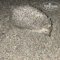 фото из отзыва ID 2689203