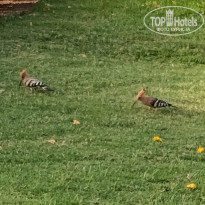 фото из отзыва ID 2687876