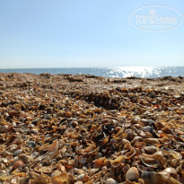 фото из отзыва ID 2689358