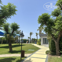 фото из отзыва ID 2689378