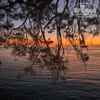 фото из отзыва ID 2689375