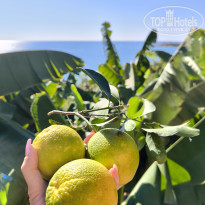 фото из отзыва ID 2689375