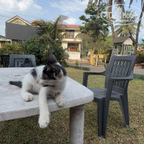 фото из отзыва ID 2689383