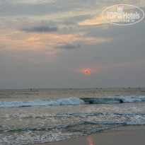 фото из отзыва ID 2689383