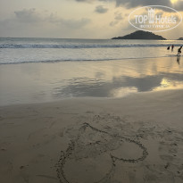 фото из отзыва ID 2689383