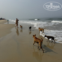 фото из отзыва ID 2689383