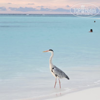 фото из отзыва ID 2689250