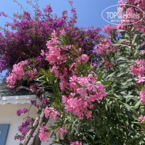 фото из отзыва ID 2689446