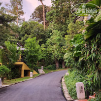 фото из отзыва ID 2689454