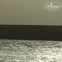 фото из отзыва ID 2687876