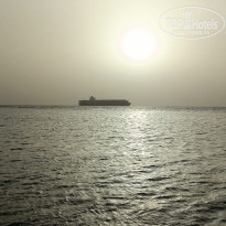 фото из отзыва ID 2687876