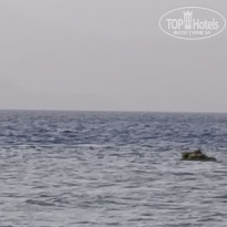 фото из отзыва ID 2687876