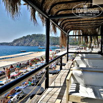 фото из отзыва ID 2689499