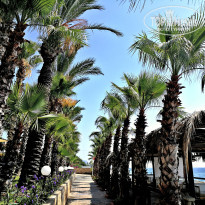 фото из отзыва ID 2689499