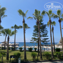 фото из отзыва ID 2689502