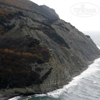 фото из отзыва ID 2688939