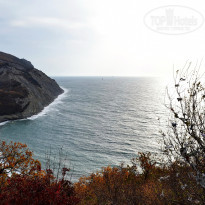 фото из отзыва ID 2688939