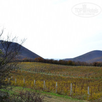 фото из отзыва ID 2688939