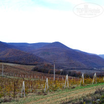 фото из отзыва ID 2688939