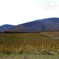 фото из отзыва ID 2688939