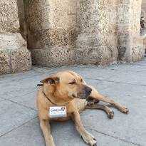 фото из отзыва ID 2689571