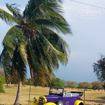 фото из отзыва ID 2689571