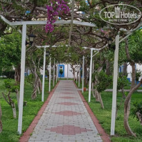 фото из отзыва ID 2689555