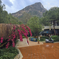 фото из отзыва ID 2689611