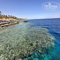 фото из отзыва ID 2689622