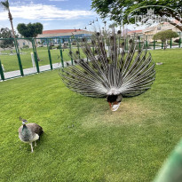 фото из отзыва ID 2689622