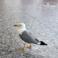 фото из отзыва ID 2689649