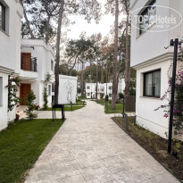 фото из отзыва ID 2689649