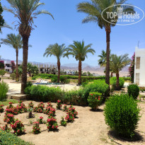 фото из отзыва ID 2689706