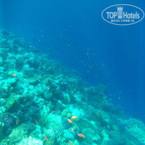 фото из отзыва ID 2689740