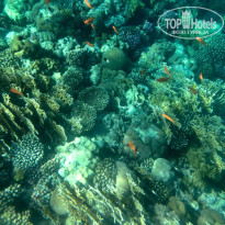 фото из отзыва ID 2689740