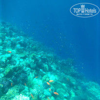 фото из отзыва ID 2689740