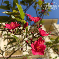 фото из отзыва ID 2689740