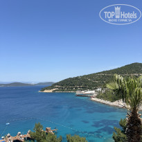 фото из отзыва ID 2689772